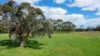 23 Ridge Road, Garvoc, Vic 3265-Image