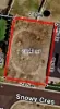 23 Snowy Crescent, Dubbo, NSW 2830-Image