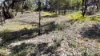 23 Stone Street, Pingelly, WA 6308-Image
