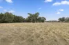 230 Cants Road, Elliminyt, Vic 3250-Image