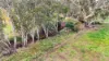 230 Nankervis Road, Mandurang, Vic 3551-Image