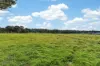 230 Nankervis Road, Mandurang, Vic 3551-Image
