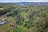 231 Back Creek Road, Nethercote, NSW 2549-Image