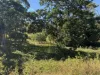 2312 Bruce Highway, Hampden, Qld 4741-Image