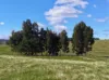 236B Clifton West Road, Wy Yung, Vic 3875-Image