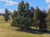 236B Clifton West Road, Wy Yung, Vic 3875-Image