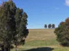 236B Clifton West Road, Wy Yung, Vic 3875-Image
