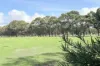 238 Link Road, Marbelup, WA 6330-Image