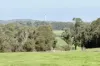 238 Link Road, Marbelup, WA 6330-Image