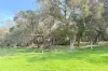 238 Link Road, Marbelup, WA 6330-Image