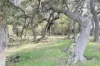 238 Link Road, Marbelup, WA 6330-Image