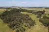 238 Link Road, Marbelup, WA 6330-Image
