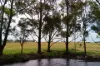 238 Link Road, Marbelup, WA 6330-Image