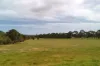 238 Link Road, Marbelup, WA 6330-Image