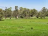 2381 Goulburn Valley Highway, Alexandra, Vic 3714-Image