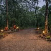239 Innamincka Way, Agnes Water, Qld 4677-Image