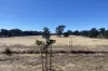23A Trant Road, Moresby, WA 6530-Image