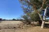 23A Trant Road, Moresby, WA 6530-Image