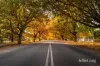 24 Collins Road, Glenlyon, Vic 3461-Image