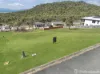 24 Grandview Terrace, Bowen, Qld 4805-Image
