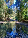 240 Browns Road, Kidaman Creek, Qld 4574-Image