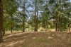 240 Moons Lane, Brookfield, Qld 4069-Image