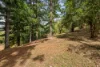 240 Moons Lane, Brookfield, Qld 4069-Image