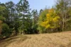 240 Moons Lane, Brookfield, Qld 4069-Image