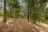 240 Moons Lane, Brookfield, Qld 4069-Image
