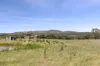 245 Learmonth Road, Clunes, Vic 3370-Image