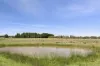 245 Learmonth Road, Clunes, Vic 3370-Image