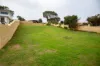 245 Ocean Drive, Port Denison, WA 6525-Image