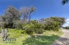 247 Melbourne Road, Blairgowrie, Vic 3942-Image