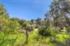 247 Melbourne Road, Blairgowrie, Vic 3942-Image