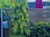 25 Bowling Green Street, Brandon, Qld 4808-Image