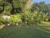 25 Bowling Green Street, Brandon, Qld 4808-Image