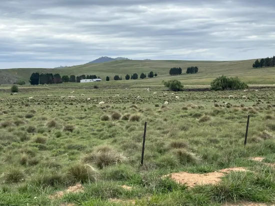 25 Karinya Plains Road, Michelago, NSW 2620
