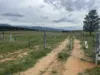 25 Karinya Plains Road, Michelago, NSW 2620-Image