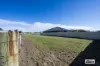 25 Koolkhan Drive, Koolkhan, NSW 2460-Image