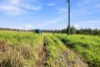 25 Roberts Road, Werombi, NSW 2570-Image