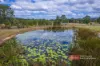 25 Suncrest Close, Bulahdelah, NSW 2423-Image
