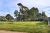 25 Tivey Street, Newstead, Vic 3462-Image
