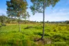 25 Whitestone Place, West Wodonga, Vic 3690-Image