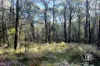250 Parkinsons Road, Launching Place, Vic 3139-Image