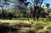 250 Parkinsons Road, Launching Place, Vic 3139-Image