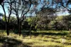250 Parkinsons Road, Launching Place, Vic 3139-Image
