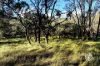 250 Parkinsons Road, Launching Place, Vic 3139-Image