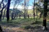 250 Parkinsons Road, Launching Place, Vic 3139-Image