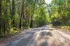 250 Parkinsons Road, Launching Place, Vic 3139-Image