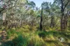 250 Parkinsons Road, Launching Place, Vic 3139-Image
